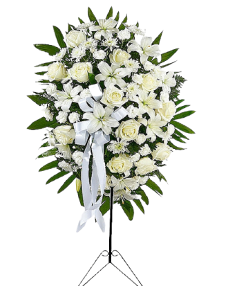 Kar Beyaz Ferforje Çiçeği