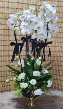 LÜKS BEYAZ ORKİDE ARANJMANI
